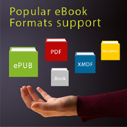 Popular eBook Formats Support